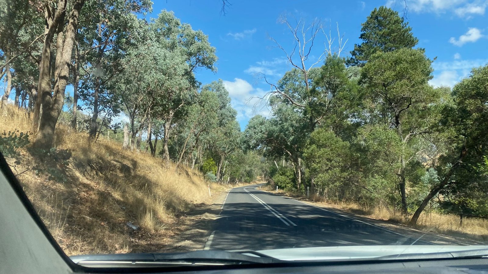 Featured image for “Harvest & Processing”